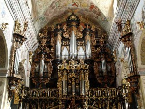 organ